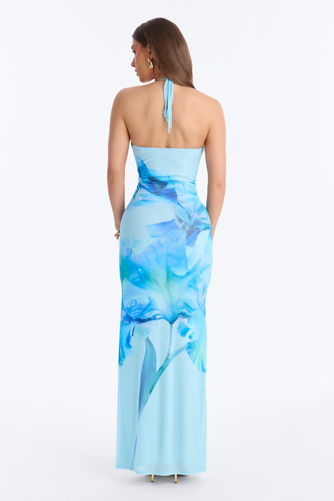 Iyla Floral Mesh Maxi Dress - Blue