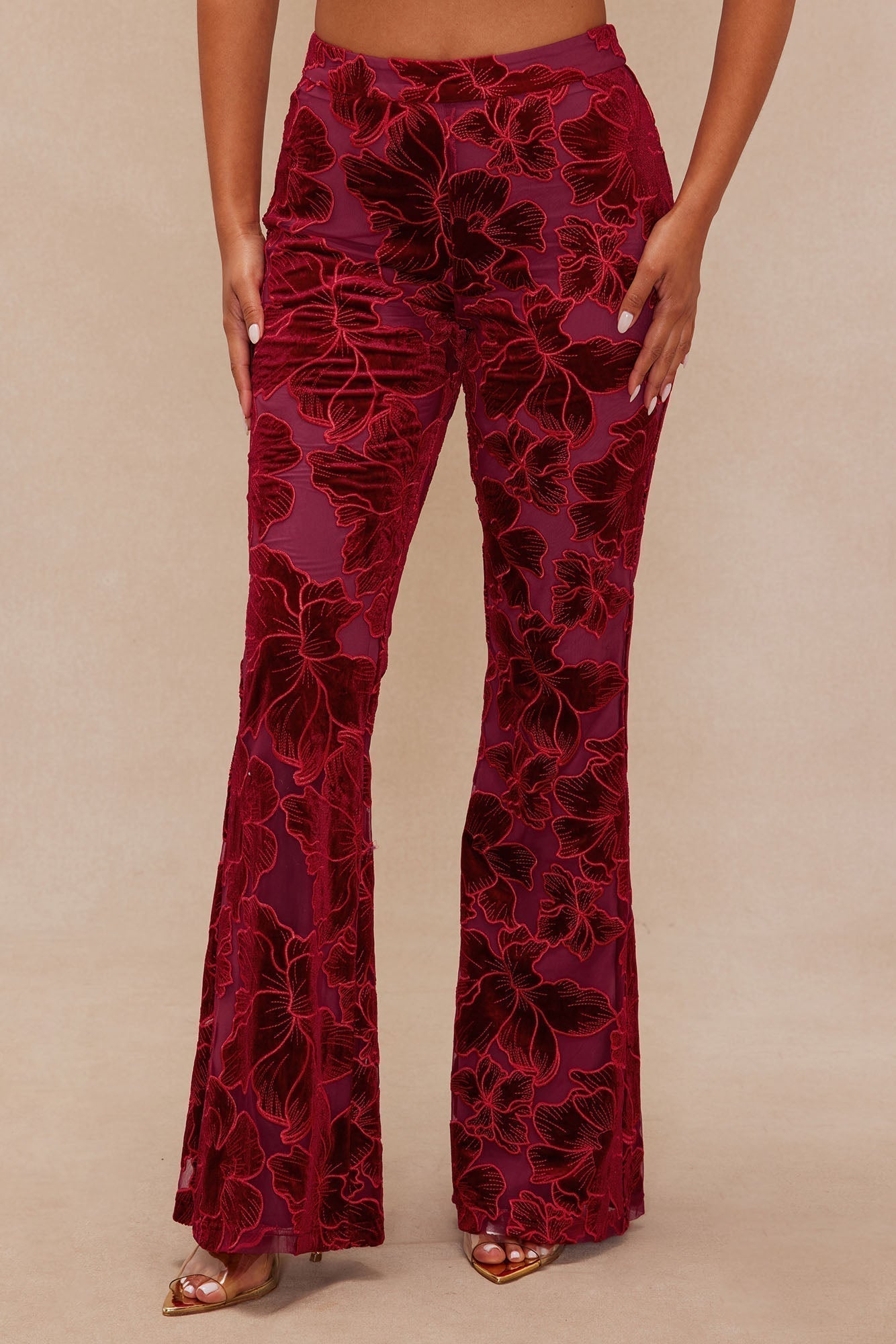 Tyra Velvet Embroidered Pant - Burgundy